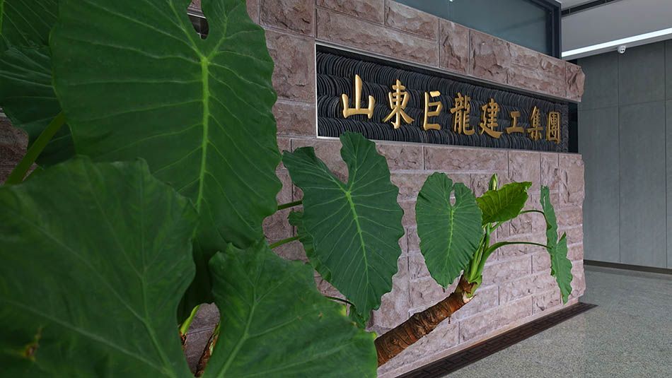 巨龙集团办公空间